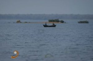 VIRTUAL ODISHA PARBA - 2021